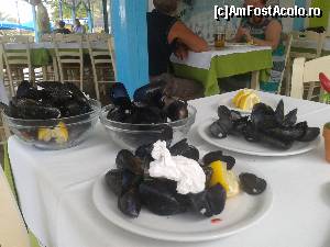 [P58] Au fost super-delicioase... La Omega 3...  » foto by Lyssys
 - 
<span class="allrVoted glyphicon glyphicon-heart hidden" id="av599332"></span>
<a class="m-l-10 hidden" id="sv599332" onclick="voting_Foto_DelVot(,599332,18139)" role="button">șterge vot <span class="glyphicon glyphicon-remove"></span></a>
<a id="v9599332" class=" c-red"  onclick="voting_Foto_SetVot(599332)" role="button"><span class="glyphicon glyphicon-heart-empty"></span> <b>LIKE</b> = Votează poza</a> <img class="hidden"  id="f599332W9" src="/imagini/loader.gif" border="0" /><span class="AjErrMes hidden" id="e599332ErM"></span>