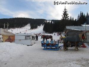 [P15] Serbarile Zapezii Vartop 2015- ponei, cai pentru calarie sau o plimbare cu sania trasa de cai » foto by luciaoradea
 - 
<span class="allrVoted glyphicon glyphicon-heart hidden" id="av599632"></span>
<a class="m-l-10 hidden" id="sv599632" onclick="voting_Foto_DelVot(,599632,18142)" role="button">șterge vot <span class="glyphicon glyphicon-remove"></span></a>
<a id="v9599632" class=" c-red"  onclick="voting_Foto_SetVot(599632)" role="button"><span class="glyphicon glyphicon-heart-empty"></span> <b>LIKE</b> = Votează poza</a> <img class="hidden"  id="f599632W9" src="/imagini/loader.gif" border="0" /><span class="AjErrMes hidden" id="e599632ErM"></span>