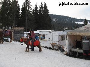 [P13] Vartop- poftiti la o plimbare cu poneiul... Saracul ponei, mi-e mila de el:( » foto by luciaoradea
 - 
<span class="allrVoted glyphicon glyphicon-heart hidden" id="av599734"></span>
<a class="m-l-10 hidden" id="sv599734" onclick="voting_Foto_DelVot(,599734,18142)" role="button">șterge vot <span class="glyphicon glyphicon-remove"></span></a>
<a id="v9599734" class=" c-red"  onclick="voting_Foto_SetVot(599734)" role="button"><span class="glyphicon glyphicon-heart-empty"></span> <b>LIKE</b> = Votează poza</a> <img class="hidden"  id="f599734W9" src="/imagini/loader.gif" border="0" /><span class="AjErrMes hidden" id="e599734ErM"></span>