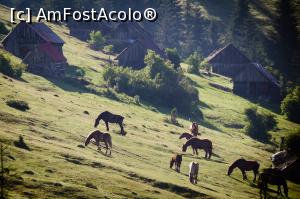 [P15]  -- <small>// FĂRĂ DESCRIERE</small> » foto by Remicade
 - 
<span class="allrVoted glyphicon glyphicon-heart hidden" id="av768613"></span>
<a class="m-l-10 hidden" id="sv768613" onclick="voting_Foto_DelVot(,768613,18142)" role="button">șterge vot <span class="glyphicon glyphicon-remove"></span></a>
<a id="v9768613" class=" c-red"  onclick="voting_Foto_SetVot(768613)" role="button"><span class="glyphicon glyphicon-heart-empty"></span> <b>LIKE</b> = Votează poza</a> <img class="hidden"  id="f768613W9" src="/imagini/loader.gif" border="0" /><span class="AjErrMes hidden" id="e768613ErM"></span>