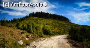 [P21] Zona Cucurbăta Mică » foto by Remicade
 - 
<span class="allrVoted glyphicon glyphicon-heart hidden" id="av770401"></span>
<a class="m-l-10 hidden" id="sv770401" onclick="voting_Foto_DelVot(,770401,18142)" role="button">șterge vot <span class="glyphicon glyphicon-remove"></span></a>
<a id="v9770401" class=" c-red"  onclick="voting_Foto_SetVot(770401)" role="button"><span class="glyphicon glyphicon-heart-empty"></span> <b>LIKE</b> = Votează poza</a> <img class="hidden"  id="f770401W9" src="/imagini/loader.gif" border="0" /><span class="AjErrMes hidden" id="e770401ErM"></span>