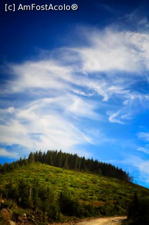 [P22] Zona Cucurbăta Mică » foto by Remicade
 - 
<span class="allrVoted glyphicon glyphicon-heart hidden" id="av770402"></span>
<a class="m-l-10 hidden" id="sv770402" onclick="voting_Foto_DelVot(,770402,18142)" role="button">șterge vot <span class="glyphicon glyphicon-remove"></span></a>
<a id="v9770402" class=" c-red"  onclick="voting_Foto_SetVot(770402)" role="button"><span class="glyphicon glyphicon-heart-empty"></span> <b>LIKE</b> = Votează poza</a> <img class="hidden"  id="f770402W9" src="/imagini/loader.gif" border="0" /><span class="AjErrMes hidden" id="e770402ErM"></span>