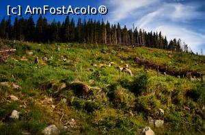 [P24] Zona Cucurbăta Mică » foto by Remicade
 - 
<span class="allrVoted glyphicon glyphicon-heart hidden" id="av770404"></span>
<a class="m-l-10 hidden" id="sv770404" onclick="voting_Foto_DelVot(,770404,18142)" role="button">șterge vot <span class="glyphicon glyphicon-remove"></span></a>
<a id="v9770404" class=" c-red"  onclick="voting_Foto_SetVot(770404)" role="button"><span class="glyphicon glyphicon-heart-empty"></span> <b>LIKE</b> = Votează poza</a> <img class="hidden"  id="f770404W9" src="/imagini/loader.gif" border="0" /><span class="AjErrMes hidden" id="e770404ErM"></span>