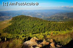 [P35] Zona Cucurbăta Mică » foto by Remicade
 - 
<span class="allrVoted glyphicon glyphicon-heart hidden" id="av770415"></span>
<a class="m-l-10 hidden" id="sv770415" onclick="voting_Foto_DelVot(,770415,18142)" role="button">șterge vot <span class="glyphicon glyphicon-remove"></span></a>
<a id="v9770415" class=" c-red"  onclick="voting_Foto_SetVot(770415)" role="button"><span class="glyphicon glyphicon-heart-empty"></span> <b>LIKE</b> = Votează poza</a> <img class="hidden"  id="f770415W9" src="/imagini/loader.gif" border="0" /><span class="AjErrMes hidden" id="e770415ErM"></span>