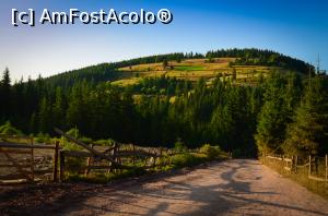 [P37] Zona Cucurbăta Mică » foto by Remicade
 - 
<span class="allrVoted glyphicon glyphicon-heart hidden" id="av770418"></span>
<a class="m-l-10 hidden" id="sv770418" onclick="voting_Foto_DelVot(,770418,18142)" role="button">șterge vot <span class="glyphicon glyphicon-remove"></span></a>
<a id="v9770418" class=" c-red"  onclick="voting_Foto_SetVot(770418)" role="button"><span class="glyphicon glyphicon-heart-empty"></span> <b>LIKE</b> = Votează poza</a> <img class="hidden"  id="f770418W9" src="/imagini/loader.gif" border="0" /><span class="AjErrMes hidden" id="e770418ErM"></span>