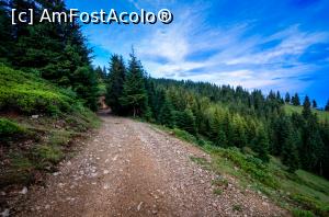 [P05] Apus in Vârtop » foto by Remicade
 - 
<span class="allrVoted glyphicon glyphicon-heart hidden" id="av768603"></span>
<a class="m-l-10 hidden" id="sv768603" onclick="voting_Foto_DelVot(,768603,18142)" role="button">șterge vot <span class="glyphicon glyphicon-remove"></span></a>
<a id="v9768603" class=" c-red"  onclick="voting_Foto_SetVot(768603)" role="button"><span class="glyphicon glyphicon-heart-empty"></span> <b>LIKE</b> = Votează poza</a> <img class="hidden"  id="f768603W9" src="/imagini/loader.gif" border="0" /><span class="AjErrMes hidden" id="e768603ErM"></span>