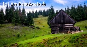 [P09]  -- <small>// FĂRĂ DESCRIERE</small> » foto by Remicade
 - 
<span class="allrVoted glyphicon glyphicon-heart hidden" id="av768607"></span>
<a class="m-l-10 hidden" id="sv768607" onclick="voting_Foto_DelVot(,768607,18142)" role="button">șterge vot <span class="glyphicon glyphicon-remove"></span></a>
<a id="v9768607" class=" c-red"  onclick="voting_Foto_SetVot(768607)" role="button"><span class="glyphicon glyphicon-heart-empty"></span> <b>LIKE</b> = Votează poza</a> <img class="hidden"  id="f768607W9" src="/imagini/loader.gif" border="0" /><span class="AjErrMes hidden" id="e768607ErM"></span>