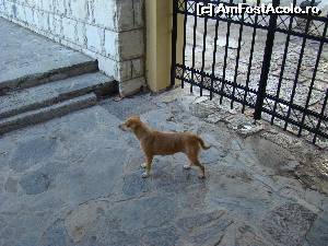 [P23] Prietenul nou din Knossos » foto by AlexS
 - 
<span class="allrVoted glyphicon glyphicon-heart hidden" id="av601946"></span>
<a class="m-l-10 hidden" id="sv601946" onclick="voting_Foto_DelVot(,601946,18165)" role="button">șterge vot <span class="glyphicon glyphicon-remove"></span></a>
<a id="v9601946" class=" c-red"  onclick="voting_Foto_SetVot(601946)" role="button"><span class="glyphicon glyphicon-heart-empty"></span> <b>LIKE</b> = Votează poza</a> <img class="hidden"  id="f601946W9" src="/imagini/loader.gif" border="0" /><span class="AjErrMes hidden" id="e601946ErM"></span>