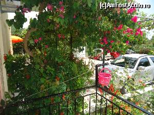 [P03] vedere de pe balcon spre vecini » foto by marocanu21
 - 
<span class="allrVoted glyphicon glyphicon-heart hidden" id="av603123"></span>
<a class="m-l-10 hidden" id="sv603123" onclick="voting_Foto_DelVot(,603123,18176)" role="button">șterge vot <span class="glyphicon glyphicon-remove"></span></a>
<a id="v9603123" class=" c-red"  onclick="voting_Foto_SetVot(603123)" role="button"><span class="glyphicon glyphicon-heart-empty"></span> <b>LIKE</b> = Votează poza</a> <img class="hidden"  id="f603123W9" src="/imagini/loader.gif" border="0" /><span class="AjErrMes hidden" id="e603123ErM"></span>