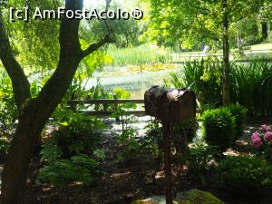 [P19] am dat peste un lac mic, tip iaz » foto by icata24
 - 
<span class="allrVoted glyphicon glyphicon-heart hidden" id="av1236168"></span>
<a class="m-l-10 hidden" id="sv1236168" onclick="voting_Foto_DelVot(,1236168,18212)" role="button">șterge vot <span class="glyphicon glyphicon-remove"></span></a>
<a id="v91236168" class=" c-red"  onclick="voting_Foto_SetVot(1236168)" role="button"><span class="glyphicon glyphicon-heart-empty"></span> <b>LIKE</b> = Votează poza</a> <img class="hidden"  id="f1236168W9" src="/imagini/loader.gif" border="0" /><span class="AjErrMes hidden" id="e1236168ErM"></span>