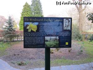 [P15] Wordsworth Daffodil Garden.  » foto by ariciu*
 - 
<span class="allrVoted glyphicon glyphicon-heart hidden" id="av607335"></span>
<a class="m-l-10 hidden" id="sv607335" onclick="voting_Foto_DelVot(,607335,18212)" role="button">șterge vot <span class="glyphicon glyphicon-remove"></span></a>
<a id="v9607335" class=" c-red"  onclick="voting_Foto_SetVot(607335)" role="button"><span class="glyphicon glyphicon-heart-empty"></span> <b>LIKE</b> = Votează poza</a> <img class="hidden"  id="f607335W9" src="/imagini/loader.gif" border="0" /><span class="AjErrMes hidden" id="e607335ErM"></span>