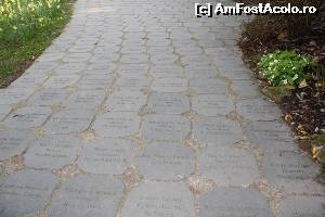 [P17] Wordsworth Daffodil Garden - dalele de 250 lire/bucata.  » foto by ariciu*
 - 
<span class="allrVoted glyphicon glyphicon-heart hidden" id="av607338"></span>
<a class="m-l-10 hidden" id="sv607338" onclick="voting_Foto_DelVot(,607338,18212)" role="button">șterge vot <span class="glyphicon glyphicon-remove"></span></a>
<a id="v9607338" class=" c-red"  onclick="voting_Foto_SetVot(607338)" role="button"><span class="glyphicon glyphicon-heart-empty"></span> <b>LIKE</b> = Votează poza</a> <img class="hidden"  id="f607338W9" src="/imagini/loader.gif" border="0" /><span class="AjErrMes hidden" id="e607338ErM"></span>