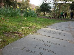 [P20] Wordsworth Daffodil Garden.  » foto by ariciu*
 - 
<span class="allrVoted glyphicon glyphicon-heart hidden" id="av607341"></span>
<a class="m-l-10 hidden" id="sv607341" onclick="voting_Foto_DelVot(,607341,18212)" role="button">șterge vot <span class="glyphicon glyphicon-remove"></span></a>
<a id="v9607341" class=" c-red"  onclick="voting_Foto_SetVot(607341)" role="button"><span class="glyphicon glyphicon-heart-empty"></span> <b>LIKE</b> = Votează poza</a> <img class="hidden"  id="f607341W9" src="/imagini/loader.gif" border="0" /><span class="AjErrMes hidden" id="e607341ErM"></span>