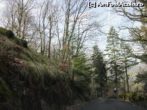 [P03] Drumul către Grasmere.  » foto by ariciu*
 - 
<span class="allrVoted glyphicon glyphicon-heart hidden" id="av607320"></span>
<a class="m-l-10 hidden" id="sv607320" onclick="voting_Foto_DelVot(,607320,18212)" role="button">șterge vot <span class="glyphicon glyphicon-remove"></span></a>
<a id="v9607320" class=" c-red"  onclick="voting_Foto_SetVot(607320)" role="button"><span class="glyphicon glyphicon-heart-empty"></span> <b>LIKE</b> = Votează poza</a> <img class="hidden"  id="f607320W9" src="/imagini/loader.gif" border="0" /><span class="AjErrMes hidden" id="e607320ErM"></span>