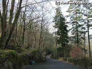 [P04] Drumul către Grasmere.  » foto by ariciu*
 - 
<span class="allrVoted glyphicon glyphicon-heart hidden" id="av607321"></span>
<a class="m-l-10 hidden" id="sv607321" onclick="voting_Foto_DelVot(,607321,18212)" role="button">șterge vot <span class="glyphicon glyphicon-remove"></span></a>
<a id="v9607321" class=" c-red"  onclick="voting_Foto_SetVot(607321)" role="button"><span class="glyphicon glyphicon-heart-empty"></span> <b>LIKE</b> = Votează poza</a> <img class="hidden"  id="f607321W9" src="/imagini/loader.gif" border="0" /><span class="AjErrMes hidden" id="e607321ErM"></span>