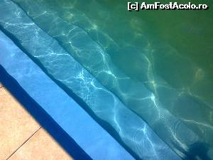 [P06] Apa sarata e foarte limpede si foarte concentrata » foto by dorgo
 - 
<span class="allrVoted glyphicon glyphicon-heart hidden" id="av538516"></span>
<a class="m-l-10 hidden" id="sv538516" onclick="voting_Foto_DelVot(,538516,18215)" role="button">șterge vot <span class="glyphicon glyphicon-remove"></span></a>
<a id="v9538516" class=" c-red"  onclick="voting_Foto_SetVot(538516)" role="button"><span class="glyphicon glyphicon-heart-empty"></span> <b>LIKE</b> = Votează poza</a> <img class="hidden"  id="f538516W9" src="/imagini/loader.gif" border="0" /><span class="AjErrMes hidden" id="e538516ErM"></span>