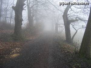 [P06] prin Drachenburg » foto by bianche
 - 
<span class="allrVoted glyphicon glyphicon-heart hidden" id="av607749"></span>
<a class="m-l-10 hidden" id="sv607749" onclick="voting_Foto_DelVot(,607749,18229)" role="button">șterge vot <span class="glyphicon glyphicon-remove"></span></a>
<a id="v9607749" class=" c-red"  onclick="voting_Foto_SetVot(607749)" role="button"><span class="glyphicon glyphicon-heart-empty"></span> <b>LIKE</b> = Votează poza</a> <img class="hidden"  id="f607749W9" src="/imagini/loader.gif" border="0" /><span class="AjErrMes hidden" id="e607749ErM"></span>