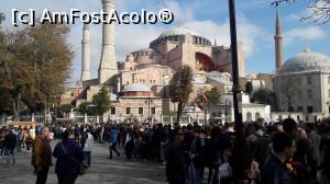 [P04] Aya Sofia cu coada aferenta.  » foto by vld79
 - 
<span class="allrVoted glyphicon glyphicon-heart hidden" id="av1032138"></span>
<a class="m-l-10 hidden" id="sv1032138" onclick="voting_Foto_DelVot(,1032138,18236)" role="button">șterge vot <span class="glyphicon glyphicon-remove"></span></a>
<a id="v91032138" class=" c-red"  onclick="voting_Foto_SetVot(1032138)" role="button"><span class="glyphicon glyphicon-heart-empty"></span> <b>LIKE</b> = Votează poza</a> <img class="hidden"  id="f1032138W9" src="/imagini/loader.gif" border="0" /><span class="AjErrMes hidden" id="e1032138ErM"></span>