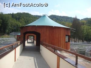 [P14] Promenada de deasupra cuștilor felinelor mari.  » foto by Floryn81
 - 
<span class="allrVoted glyphicon glyphicon-heart hidden" id="av777434"></span>
<a class="m-l-10 hidden" id="sv777434" onclick="voting_Foto_DelVot(,777434,18241)" role="button">șterge vot <span class="glyphicon glyphicon-remove"></span></a>
<a id="v9777434" class=" c-red"  onclick="voting_Foto_SetVot(777434)" role="button"><span class="glyphicon glyphicon-heart-empty"></span> <b>LIKE</b> = Votează poza</a> <img class="hidden"  id="f777434W9" src="/imagini/loader.gif" border="0" /><span class="AjErrMes hidden" id="e777434ErM"></span>