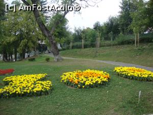 [P05] La pas pe aleile de vizitare de la Zoo Brașov. » foto by Floryn81
 - 
<span class="allrVoted glyphicon glyphicon-heart hidden" id="av777416"></span>
<a class="m-l-10 hidden" id="sv777416" onclick="voting_Foto_DelVot(,777416,18241)" role="button">șterge vot <span class="glyphicon glyphicon-remove"></span></a>
<a id="v9777416" class=" c-red"  onclick="voting_Foto_SetVot(777416)" role="button"><span class="glyphicon glyphicon-heart-empty"></span> <b>LIKE</b> = Votează poza</a> <img class="hidden"  id="f777416W9" src="/imagini/loader.gif" border="0" /><span class="AjErrMes hidden" id="e777416ErM"></span>
