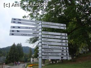[P06] La Zoo Brașov există numeroase indicatoare către animalele găzduite aici.  » foto by Floryn81
 - 
<span class="allrVoted glyphicon glyphicon-heart hidden" id="av777423"></span>
<a class="m-l-10 hidden" id="sv777423" onclick="voting_Foto_DelVot(,777423,18241)" role="button">șterge vot <span class="glyphicon glyphicon-remove"></span></a>
<a id="v9777423" class=" c-red"  onclick="voting_Foto_SetVot(777423)" role="button"><span class="glyphicon glyphicon-heart-empty"></span> <b>LIKE</b> = Votează poza</a> <img class="hidden"  id="f777423W9" src="/imagini/loader.gif" border="0" /><span class="AjErrMes hidden" id="e777423ErM"></span>