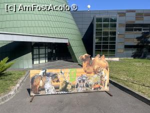 [P22] Grădina Zoo Brașov » foto by Yersinia Pestis
 - 
<span class="allrVoted glyphicon glyphicon-heart hidden" id="av1504002"></span>
<a class="m-l-10 hidden" id="sv1504002" onclick="voting_Foto_DelVot(,1504002,18241)" role="button">șterge vot <span class="glyphicon glyphicon-remove"></span></a>
<a id="v91504002" class=" c-red"  onclick="voting_Foto_SetVot(1504002)" role="button"><span class="glyphicon glyphicon-heart-empty"></span> <b>LIKE</b> = Votează poza</a> <img class="hidden"  id="f1504002W9" src="/imagini/loader.gif" border="0" /><span class="AjErrMes hidden" id="e1504002ErM"></span>