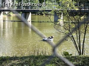 [P33] Grădina Zoo Brașov » foto by Yersinia Pestis
 - 
<span class="allrVoted glyphicon glyphicon-heart hidden" id="av1504013"></span>
<a class="m-l-10 hidden" id="sv1504013" onclick="voting_Foto_DelVot(,1504013,18241)" role="button">șterge vot <span class="glyphicon glyphicon-remove"></span></a>
<a id="v91504013" class=" c-red"  onclick="voting_Foto_SetVot(1504013)" role="button"><span class="glyphicon glyphicon-heart-empty"></span> <b>LIKE</b> = Votează poza</a> <img class="hidden"  id="f1504013W9" src="/imagini/loader.gif" border="0" /><span class="AjErrMes hidden" id="e1504013ErM"></span>