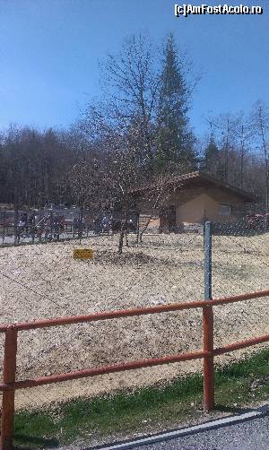 [P13]  -- <small>// FĂRĂ DESCRIERE</small> » foto by alina.prisecaru
 - 
<span class="allrVoted glyphicon glyphicon-heart hidden" id="av608497"></span>
<a class="m-l-10 hidden" id="sv608497" onclick="voting_Foto_DelVot(,608497,18241)" role="button">șterge vot <span class="glyphicon glyphicon-remove"></span></a>
<a id="v9608497" class=" c-red"  onclick="voting_Foto_SetVot(608497)" role="button"><span class="glyphicon glyphicon-heart-empty"></span> <b>LIKE</b> = Votează poza</a> <img class="hidden"  id="f608497W9" src="/imagini/loader.gif" border="0" /><span class="AjErrMes hidden" id="e608497ErM"></span>