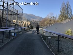 [P12] Zoo Brașov, 1 Decembrie 2018 » foto by krisstinna
 - 
<span class="allrVoted glyphicon glyphicon-heart hidden" id="av1043034"></span>
<a class="m-l-10 hidden" id="sv1043034" onclick="voting_Foto_DelVot(,1043034,18241)" role="button">șterge vot <span class="glyphicon glyphicon-remove"></span></a>
<a id="v91043034" class=" c-red"  onclick="voting_Foto_SetVot(1043034)" role="button"><span class="glyphicon glyphicon-heart-empty"></span> <b>LIKE</b> = Votează poza</a> <img class="hidden"  id="f1043034W9" src="/imagini/loader.gif" border="0" /><span class="AjErrMes hidden" id="e1043034ErM"></span>