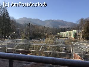 [P21] Zoo Brașov, 1 Decembrie 2018 » foto by krisstinna
 - 
<span class="allrVoted glyphicon glyphicon-heart hidden" id="av1043043"></span>
<a class="m-l-10 hidden" id="sv1043043" onclick="voting_Foto_DelVot(,1043043,18241)" role="button">șterge vot <span class="glyphicon glyphicon-remove"></span></a>
<a id="v91043043" class=" c-red"  onclick="voting_Foto_SetVot(1043043)" role="button"><span class="glyphicon glyphicon-heart-empty"></span> <b>LIKE</b> = Votează poza</a> <img class="hidden"  id="f1043043W9" src="/imagini/loader.gif" border="0" /><span class="AjErrMes hidden" id="e1043043ErM"></span>