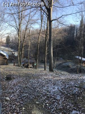 [P48] Zoo Brașov, 1 Decembrie 2018 » foto by krisstinna
 - 
<span class="allrVoted glyphicon glyphicon-heart hidden" id="av1043070"></span>
<a class="m-l-10 hidden" id="sv1043070" onclick="voting_Foto_DelVot(,1043070,18241)" role="button">șterge vot <span class="glyphicon glyphicon-remove"></span></a>
<a id="v91043070" class=" c-red"  onclick="voting_Foto_SetVot(1043070)" role="button"><span class="glyphicon glyphicon-heart-empty"></span> <b>LIKE</b> = Votează poza</a> <img class="hidden"  id="f1043070W9" src="/imagini/loader.gif" border="0" /><span class="AjErrMes hidden" id="e1043070ErM"></span>