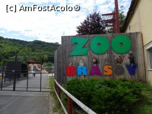 [P01] Acces ZOO Brașov. » foto by tata123 🔱
 - 
<span class="allrVoted glyphicon glyphicon-heart hidden" id="av1317381"></span>
<a class="m-l-10 hidden" id="sv1317381" onclick="voting_Foto_DelVot(,1317381,18241)" role="button">șterge vot <span class="glyphicon glyphicon-remove"></span></a>
<a id="v91317381" class=" c-red"  onclick="voting_Foto_SetVot(1317381)" role="button"><span class="glyphicon glyphicon-heart-empty"></span> <b>LIKE</b> = Votează poza</a> <img class="hidden"  id="f1317381W9" src="/imagini/loader.gif" border="0" /><span class="AjErrMes hidden" id="e1317381ErM"></span>