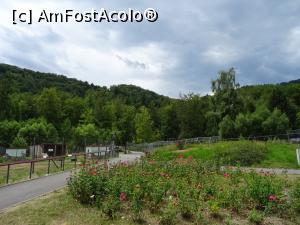 [P13] Pe aleiile grădinii zoologice. » foto by tata123 🔱
 - 
<span class="allrVoted glyphicon glyphicon-heart hidden" id="av1317393"></span>
<a class="m-l-10 hidden" id="sv1317393" onclick="voting_Foto_DelVot(,1317393,18241)" role="button">șterge vot <span class="glyphicon glyphicon-remove"></span></a>
<a id="v91317393" class=" c-red"  onclick="voting_Foto_SetVot(1317393)" role="button"><span class="glyphicon glyphicon-heart-empty"></span> <b>LIKE</b> = Votează poza</a> <img class="hidden"  id="f1317393W9" src="/imagini/loader.gif" border="0" /><span class="AjErrMes hidden" id="e1317393ErM"></span>