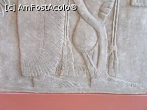 [P11] Muzeul Pergamon. Palatul Regal Nimrud. Un<i>Apkallu</i>-om. Ce să fie? » foto by mihaelavoicu
 - 
<span class="allrVoted glyphicon glyphicon-heart hidden" id="av1208296"></span>
<a class="m-l-10 hidden" id="sv1208296" onclick="voting_Foto_DelVot(,1208296,18249)" role="button">șterge vot <span class="glyphicon glyphicon-remove"></span></a>
<a id="v91208296" class=" c-red"  onclick="voting_Foto_SetVot(1208296)" role="button"><span class="glyphicon glyphicon-heart-empty"></span> <b>LIKE</b> = Votează poza</a> <img class="hidden"  id="f1208296W9" src="/imagini/loader.gif" border="0" /><span class="AjErrMes hidden" id="e1208296ErM"></span>
