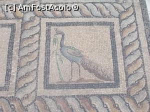 [P06] Muzeul Pergamon, Berlin. Orpheusmosaik. » foto by mihaelavoicu
 - 
<span class="allrVoted glyphicon glyphicon-heart hidden" id="av1209316"></span>
<a class="m-l-10 hidden" id="sv1209316" onclick="voting_Foto_DelVot(,1209316,18249)" role="button">șterge vot <span class="glyphicon glyphicon-remove"></span></a>
<a id="v91209316" class=" c-red"  onclick="voting_Foto_SetVot(1209316)" role="button"><span class="glyphicon glyphicon-heart-empty"></span> <b>LIKE</b> = Votează poza</a> <img class="hidden"  id="f1209316W9" src="/imagini/loader.gif" border="0" /><span class="AjErrMes hidden" id="e1209316ErM"></span>