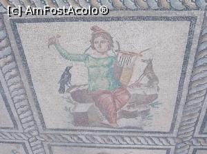 [P07] Muzeul Pergamon, Berlin. Orpheusmosaik. » foto by mihaelavoicu
 - 
<span class="allrVoted glyphicon glyphicon-heart hidden" id="av1209317"></span>
<a class="m-l-10 hidden" id="sv1209317" onclick="voting_Foto_DelVot(,1209317,18249)" role="button">șterge vot <span class="glyphicon glyphicon-remove"></span></a>
<a id="v91209317" class=" c-red"  onclick="voting_Foto_SetVot(1209317)" role="button"><span class="glyphicon glyphicon-heart-empty"></span> <b>LIKE</b> = Votează poza</a> <img class="hidden"  id="f1209317W9" src="/imagini/loader.gif" border="0" /><span class="AjErrMes hidden" id="e1209317ErM"></span>