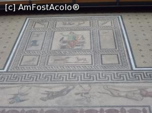 [P05] Mozaicul din Milet. Muzeul Pergamon, Berlin.  » foto by mihaelavoicu
 - 
<span class="allrVoted glyphicon glyphicon-heart hidden" id="av889210"></span>
<a class="m-l-10 hidden" id="sv889210" onclick="voting_Foto_DelVot(,889210,18249)" role="button">șterge vot <span class="glyphicon glyphicon-remove"></span></a>
<a id="v9889210" class=" c-red"  onclick="voting_Foto_SetVot(889210)" role="button"><span class="glyphicon glyphicon-heart-empty"></span> <b>LIKE</b> = Votează poza</a> <img class="hidden"  id="f889210W9" src="/imagini/loader.gif" border="0" /><span class="AjErrMes hidden" id="e889210ErM"></span>