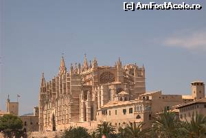 [P05] Catedrala La Seu Palma » foto by crissb
 - 
<span class="allrVoted glyphicon glyphicon-heart hidden" id="av611089"></span>
<a class="m-l-10 hidden" id="sv611089" onclick="voting_Foto_DelVot(,611089,18296)" role="button">șterge vot <span class="glyphicon glyphicon-remove"></span></a>
<a id="v9611089" class=" c-red"  onclick="voting_Foto_SetVot(611089)" role="button"><span class="glyphicon glyphicon-heart-empty"></span> <b>LIKE</b> = Votează poza</a> <img class="hidden"  id="f611089W9" src="/imagini/loader.gif" border="0" /><span class="AjErrMes hidden" id="e611089ErM"></span>