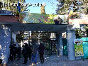 [P01] Zoo Targoviste » foto by ⭐ValentinB_88⭐
 - 
<span class="allrVoted glyphicon glyphicon-heart hidden" id="av1212319"></span>
<a class="m-l-10 hidden" id="sv1212319" onclick="voting_Foto_DelVot(,1212319,18299)" role="button">șterge vot <span class="glyphicon glyphicon-remove"></span></a>
<a id="v91212319" class=" c-red"  onclick="voting_Foto_SetVot(1212319)" role="button"><span class="glyphicon glyphicon-heart-empty"></span> <b>LIKE</b> = Votează poza</a> <img class="hidden"  id="f1212319W9" src="/imagini/loader.gif" border="0" /><span class="AjErrMes hidden" id="e1212319ErM"></span>