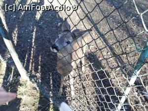 [P10] Zoo Targoviste » foto by ⭐ValentinB_88⭐
 - 
<span class="allrVoted glyphicon glyphicon-heart hidden" id="av1212328"></span>
<a class="m-l-10 hidden" id="sv1212328" onclick="voting_Foto_DelVot(,1212328,18299)" role="button">șterge vot <span class="glyphicon glyphicon-remove"></span></a>
<a id="v91212328" class=" c-red"  onclick="voting_Foto_SetVot(1212328)" role="button"><span class="glyphicon glyphicon-heart-empty"></span> <b>LIKE</b> = Votează poza</a> <img class="hidden"  id="f1212328W9" src="/imagini/loader.gif" border="0" /><span class="AjErrMes hidden" id="e1212328ErM"></span>