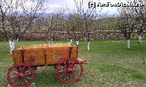 [P27] Pensiunea Debar. Pomi fructiferi infloriți, deși a nins cu două zile înainte să venim noi » foto by FlorinAndrei
 - 
<span class="allrVoted glyphicon glyphicon-heart hidden" id="av616528"></span>
<a class="m-l-10 hidden" id="sv616528" onclick="voting_Foto_DelVot(,616528,18324)" role="button">șterge vot <span class="glyphicon glyphicon-remove"></span></a>
<a id="v9616528" class=" c-red"  onclick="voting_Foto_SetVot(616528)" role="button"><span class="glyphicon glyphicon-heart-empty"></span> <b>LIKE</b> = Votează poza</a> <img class="hidden"  id="f616528W9" src="/imagini/loader.gif" border="0" /><span class="AjErrMes hidden" id="e616528ErM"></span>