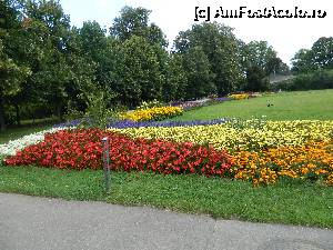 [P09] Iubitorii de flori nu ar trebui sa rateze asa ceva » foto by ciprian.dima
 - 
<span class="allrVoted glyphicon glyphicon-heart hidden" id="av357781"></span>
<a class="m-l-10 hidden" id="sv357781" onclick="voting_Foto_DelVot(,357781,18332)" role="button">șterge vot <span class="glyphicon glyphicon-remove"></span></a>
<a id="v9357781" class=" c-red"  onclick="voting_Foto_SetVot(357781)" role="button"><span class="glyphicon glyphicon-heart-empty"></span> <b>LIKE</b> = Votează poza</a> <img class="hidden"  id="f357781W9" src="/imagini/loader.gif" border="0" /><span class="AjErrMes hidden" id="e357781ErM"></span>