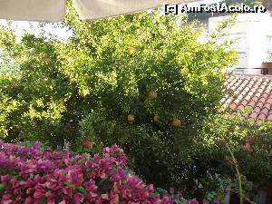 [P07] Rodii si arbori de hartie » foto by chrisstina
 - 
<span class="allrVoted glyphicon glyphicon-heart hidden" id="av613214"></span>
<a class="m-l-10 hidden" id="sv613214" onclick="voting_Foto_DelVot(,613214,18343)" role="button">șterge vot <span class="glyphicon glyphicon-remove"></span></a>
<a id="v9613214" class=" c-red"  onclick="voting_Foto_SetVot(613214)" role="button"><span class="glyphicon glyphicon-heart-empty"></span> <b>LIKE</b> = Votează poza</a> <img class="hidden"  id="f613214W9" src="/imagini/loader.gif" border="0" /><span class="AjErrMes hidden" id="e613214ErM"></span>
