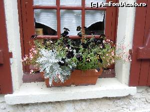 [P12] Prin Giverny » foto by joana_ro
 - 
<span class="allrVoted glyphicon glyphicon-heart hidden" id="av613491"></span>
<a class="m-l-10 hidden" id="sv613491" onclick="voting_Foto_DelVot(,613491,18350)" role="button">șterge vot <span class="glyphicon glyphicon-remove"></span></a>
<a id="v9613491" class=" c-red"  onclick="voting_Foto_SetVot(613491)" role="button"><span class="glyphicon glyphicon-heart-empty"></span> <b>LIKE</b> = Votează poza</a> <img class="hidden"  id="f613491W9" src="/imagini/loader.gif" border="0" /><span class="AjErrMes hidden" id="e613491ErM"></span>