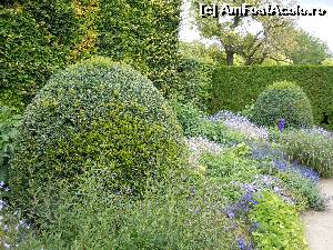 [P19] La Muzeul Impresionismului din Giverny » foto by joana_ro
 - 
<span class="allrVoted glyphicon glyphicon-heart hidden" id="av613498"></span>
<a class="m-l-10 hidden" id="sv613498" onclick="voting_Foto_DelVot(,613498,18350)" role="button">șterge vot <span class="glyphicon glyphicon-remove"></span></a>
<a id="v9613498" class=" c-red"  onclick="voting_Foto_SetVot(613498)" role="button"><span class="glyphicon glyphicon-heart-empty"></span> <b>LIKE</b> = Votează poza</a> <img class="hidden"  id="f613498W9" src="/imagini/loader.gif" border="0" /><span class="AjErrMes hidden" id="e613498ErM"></span>