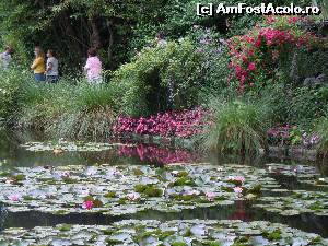 [P23] Gradinile lui Claude Monet » foto by joana_ro
 - 
<span class="allrVoted glyphicon glyphicon-heart hidden" id="av613502"></span>
<a class="m-l-10 hidden" id="sv613502" onclick="voting_Foto_DelVot(,613502,18350)" role="button">șterge vot <span class="glyphicon glyphicon-remove"></span></a>
<a id="v9613502" class=" c-red"  onclick="voting_Foto_SetVot(613502)" role="button"><span class="glyphicon glyphicon-heart-empty"></span> <b>LIKE</b> = Votează poza</a> <img class="hidden"  id="f613502W9" src="/imagini/loader.gif" border="0" /><span class="AjErrMes hidden" id="e613502ErM"></span>