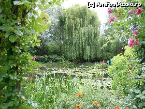 [P32] Gradinile lui Claude Monet » foto by joana_ro
 - 
<span class="allrVoted glyphicon glyphicon-heart hidden" id="av613511"></span>
<a class="m-l-10 hidden" id="sv613511" onclick="voting_Foto_DelVot(,613511,18350)" role="button">șterge vot <span class="glyphicon glyphicon-remove"></span></a>
<a id="v9613511" class=" c-red"  onclick="voting_Foto_SetVot(613511)" role="button"><span class="glyphicon glyphicon-heart-empty"></span> <b>LIKE</b> = Votează poza</a> <img class="hidden"  id="f613511W9" src="/imagini/loader.gif" border="0" /><span class="AjErrMes hidden" id="e613511ErM"></span>