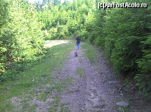 [P15] Arieșeni. Excursie prin padurile din jurul pensiunii Poarta Arieșului » foto by FlorinAndrei
 - 
<span class="allrVoted glyphicon glyphicon-heart hidden" id="av616573"></span>
<a class="m-l-10 hidden" id="sv616573" onclick="voting_Foto_DelVot(,616573,18351)" role="button">șterge vot <span class="glyphicon glyphicon-remove"></span></a>
<a id="v9616573" class=" c-red"  onclick="voting_Foto_SetVot(616573)" role="button"><span class="glyphicon glyphicon-heart-empty"></span> <b>LIKE</b> = Votează poza</a> <img class="hidden"  id="f616573W9" src="/imagini/loader.gif" border="0" /><span class="AjErrMes hidden" id="e616573ErM"></span>
