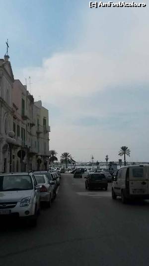 [P09] Molfetta » foto by #anca*
 - 
<span class="allrVoted glyphicon glyphicon-heart hidden" id="av614005"></span>
<a class="m-l-10 hidden" id="sv614005" onclick="voting_Foto_DelVot(,614005,18355)" role="button">șterge vot <span class="glyphicon glyphicon-remove"></span></a>
<a id="v9614005" class=" c-red"  onclick="voting_Foto_SetVot(614005)" role="button"><span class="glyphicon glyphicon-heart-empty"></span> <b>LIKE</b> = Votează poza</a> <img class="hidden"  id="f614005W9" src="/imagini/loader.gif" border="0" /><span class="AjErrMes hidden" id="e614005ErM"></span>