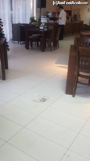 [P02] Gunoiul din mijlocul restaurantului » foto by marians
 - 
<span class="allrVoted glyphicon glyphicon-heart hidden" id="av703858"></span>
<a class="m-l-10 hidden" id="sv703858" onclick="voting_Foto_DelVot(,703858,18359)" role="button">șterge vot <span class="glyphicon glyphicon-remove"></span></a>
<a id="v9703858" class=" c-red"  onclick="voting_Foto_SetVot(703858)" role="button"><span class="glyphicon glyphicon-heart-empty"></span> <b>LIKE</b> = Votează poza</a> <img class="hidden"  id="f703858W9" src="/imagini/loader.gif" border="0" /><span class="AjErrMes hidden" id="e703858ErM"></span>
